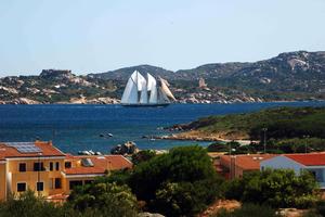 In sardegna col proprio animale