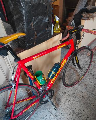 bici  da corsa