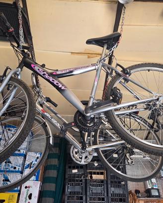 Bici da adulto
