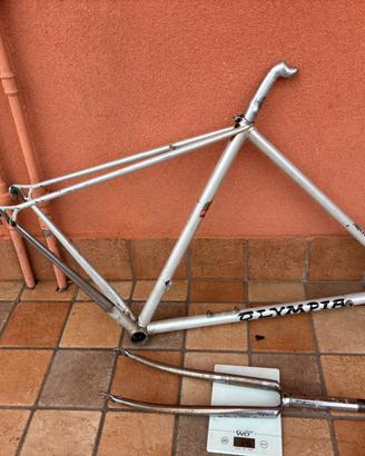 Telaio bici vintage super leggero