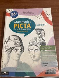 Grammatica Picta Lezioni 1 Einaudi Scuola