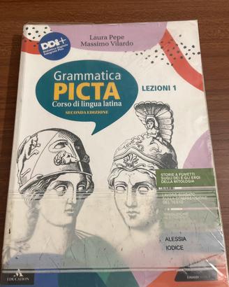 Grammatica Picta Lezioni 1 Einaudi Scuola
