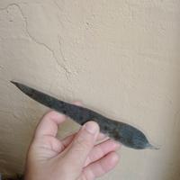 Semi di glicine (2 Varietà)