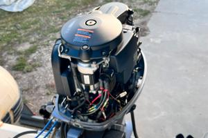 Motore 40/60cv 4t + carrello omologato + gommone.