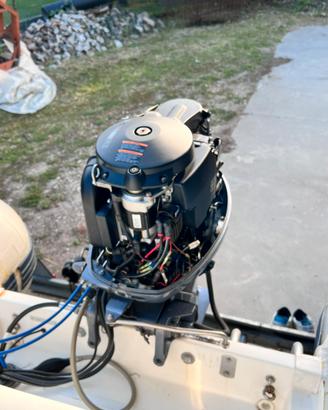 Motore 40/60cv 4t + carrello omologato + gommone.