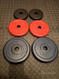 Set 6 dischi / pesi gommati 28mm