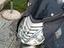 Immagine 3
