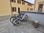 Immagine 24