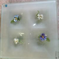 set tavola Gusto centrotavola decorato in vetro 