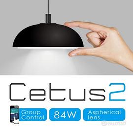 Cetus 2 Marine Water