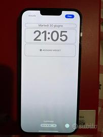 IPhone 13 pro max 256 gb