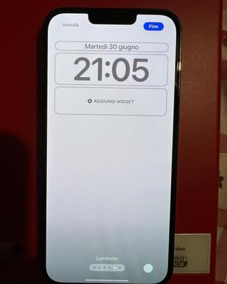 IPhone 13 pro max 256 gb