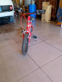 disponibile bici 