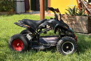 Mini quad elettrico