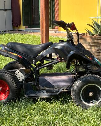 Mini quad elettrico