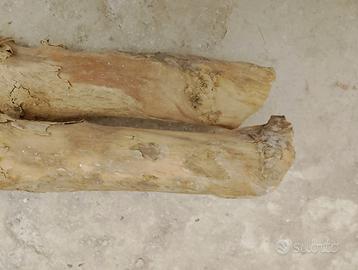 Legno di bosso stagionato
