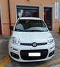 fiat-panda-1-3-mjt-95-cv-easy-motore-nuovo