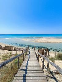 Casa vacanza in salento 5 posti letto