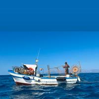 Barca da pesca con licenza