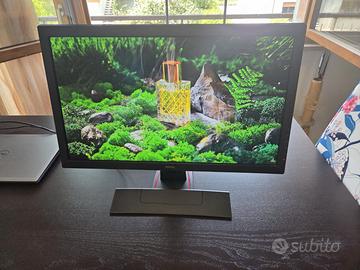 Benq Zowie GL2450 bmiix 24"