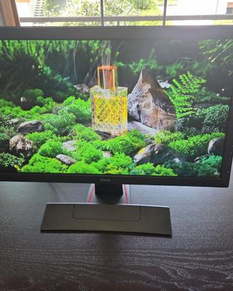 Benq Zowie GL2450 bmiix 24"