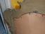 Immagine 6