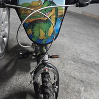 Bici bambino