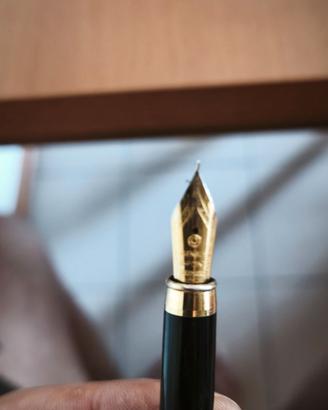 Montblanc Meisterstück Solitaire Stilografica