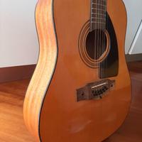 Chitarra 12 corde