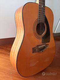 Chitarra 12 corde