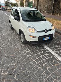 Fiat Panda Hybrid 2024