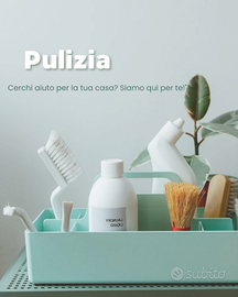 Pulizie domestiche e piccoli lavori