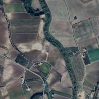 Azienda agricola di 20 ettari rif.669