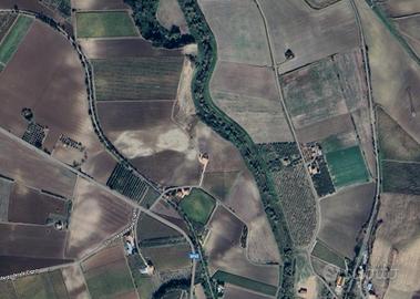 Azienda agricola di 20 ettari rif.669