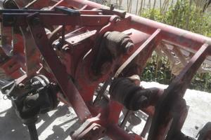 Vangatrice tortella 305