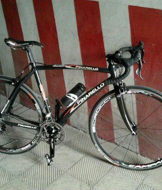 Pinarello Treviso professionale, da 28