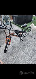 bici seminuova