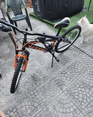 bici seminuova