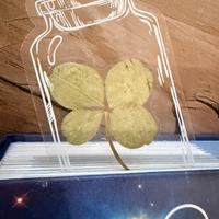 Quadrifoglio porta fortuna segnalibro