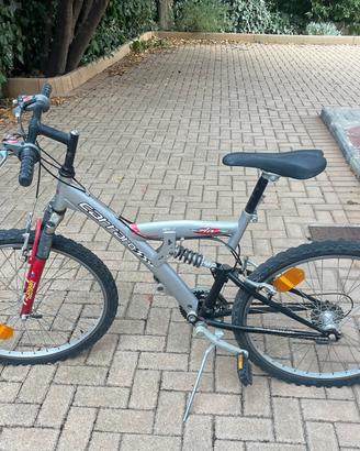 Bicicletta