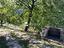 Immagine 14