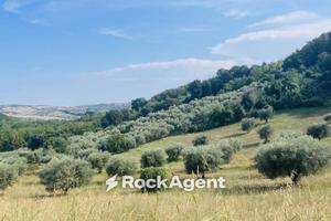 Terreno di 12880 m² a Sant'Omero