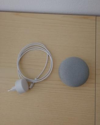 Google home mini