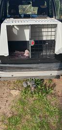 trasportino per cani