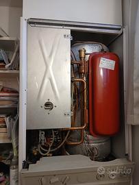caldaia IMERGAS  ZEUS IONO 25