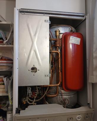 caldaia IMERGAS  ZEUS IONO 25
