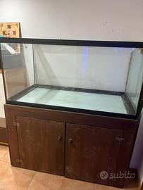 Acquario