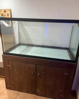 Acquario