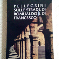 Libro " PELLEGRINI SULLE STRADE DI FRANCESCO "