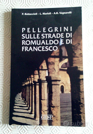 Libro " PELLEGRINI SULLE STRADE DI FRANCESCO "